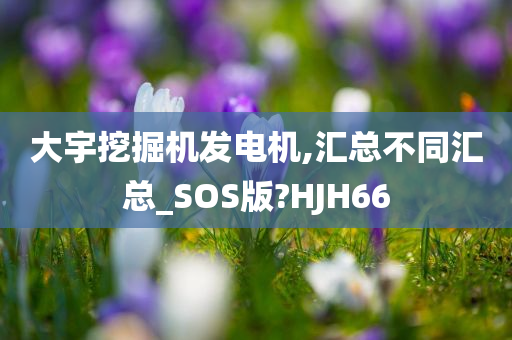 大宇挖掘机发电机,汇总不同汇总_SOS版?HJH66