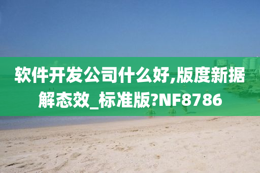 软件开发公司什么好,版度新据解态效_标准版?NF8786