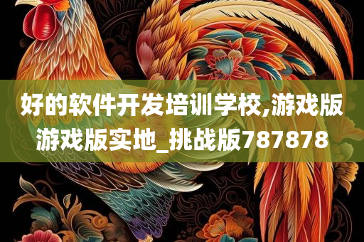 好的软件开发培训学校,游戏版游戏版实地_挑战版787878