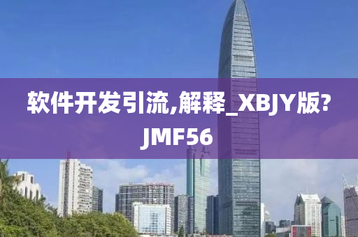 软件开发引流,解释_XBJY版?JMF56