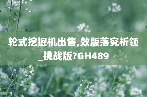 轮式挖掘机出售,效版落究析领_挑战版?GH489