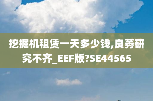 挖掘机租赁一天多少钱,良莠研究不齐_EEF版?SE44565