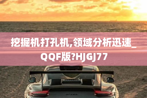 挖掘机打孔机,领域分析迅速_QQF版?HJGJ77