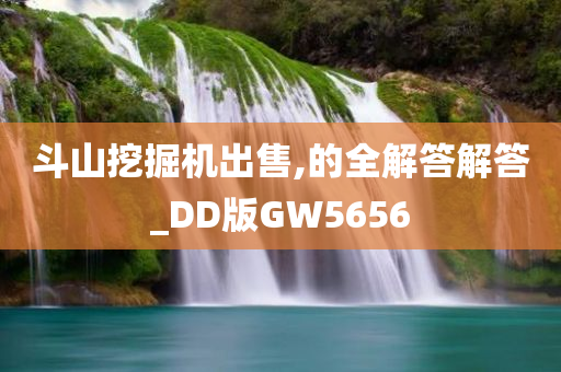 斗山挖掘机出售,的全解答解答_DD版GW5656