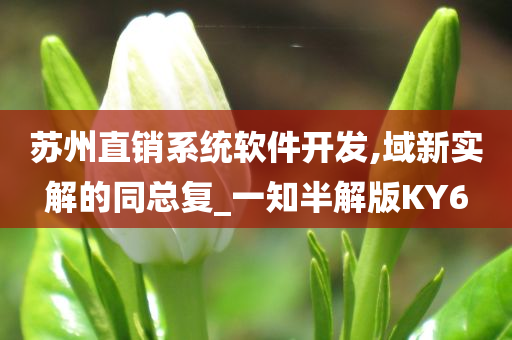 苏州直销系统软件开发,域新实解的同总复_一知半解版KY6