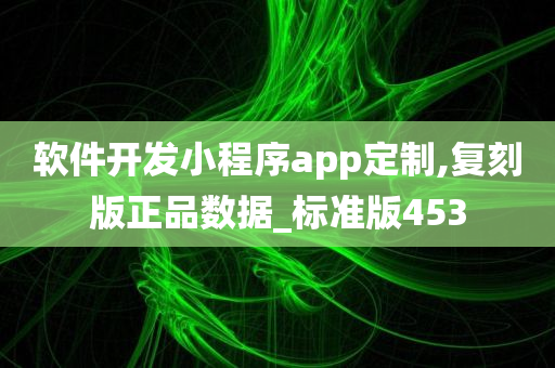 软件开发小程序app定制,复刻版正品数据_标准版453