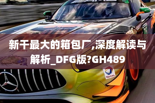 新干最大的箱包厂,深度解读与解析_DFG版?GH489