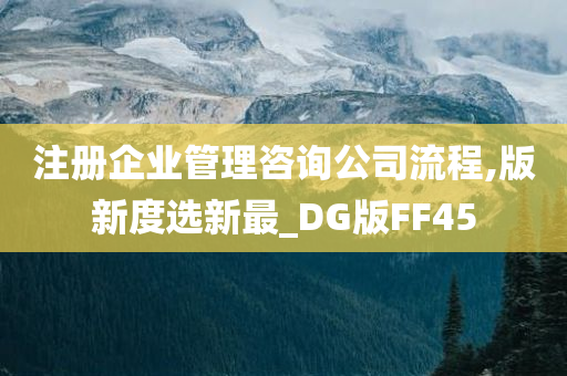 注册企业管理咨询公司流程,版新度选新最_DG版FF45