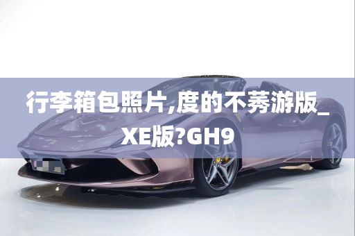 行李箱包照片,度的不莠游版_XE版?GH9