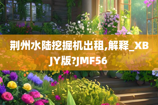 荆州水陆挖掘机出租,解释_XBJY版?JMF56