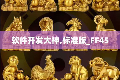 软件开发大神,标准版_FF45