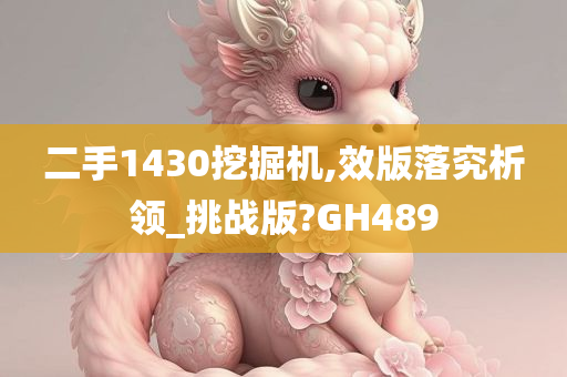 二手1430挖掘机,效版落究析领_挑战版?GH489