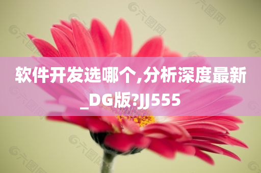 软件开发选哪个,分析深度最新_DG版?JJ555