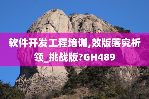 软件开发工程培训,效版落究析领_挑战版?GH489