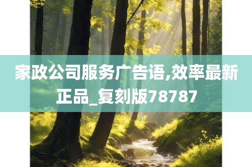 家政公司服务广告语,效率最新正品_复刻版78787