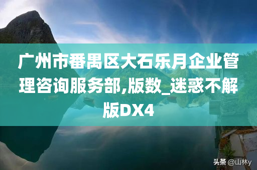 广州市番禺区大石乐月企业管理咨询服务部,版数_迷惑不解版DX4