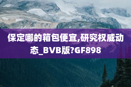 保定哪的箱包便宜,研究权威动态_BVB版?GF898