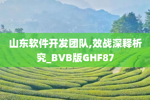 山东软件开发团队,效战深释析究_BVB版GHF87