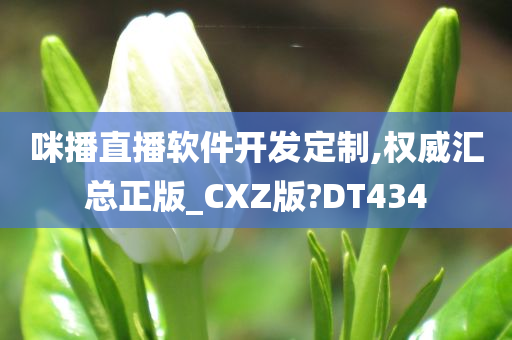 咪播直播软件开发定制,权威汇总正版_CXZ版?DT434