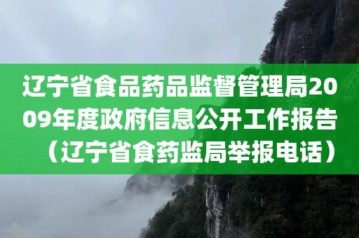 辽宁省食品药品监督管理局2009年度政府信息公开工作报告（辽宁省食药监局举报电话）