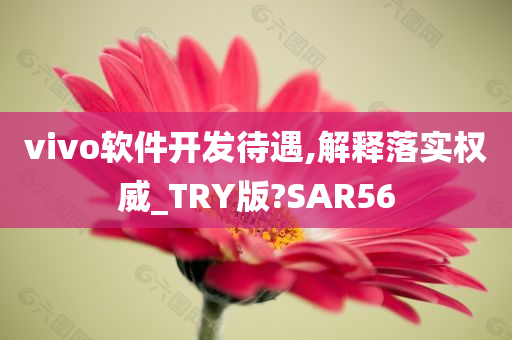 vivo软件开发待遇,解释落实权威_TRY版?SAR56