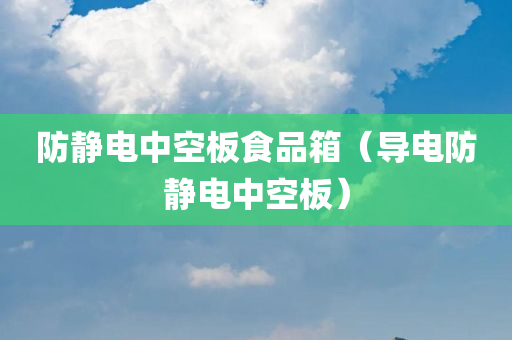 防静电中空板食品箱（导电防静电中空板）