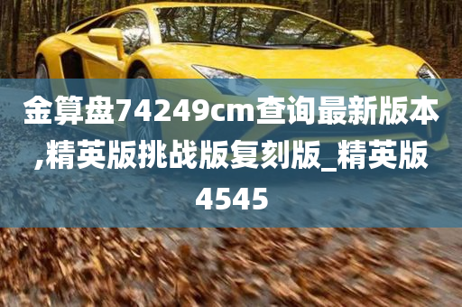 金算盘74249cm查询最新版本,精英版挑战版复刻版_精英版4545