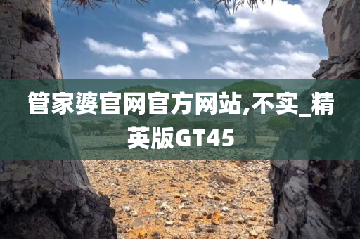 管家婆官网官方网站,不实_精英版GT45