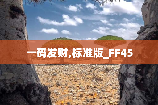 一码发财,标准版_FF45