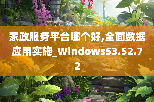 家政服务平台哪个好,全面数据应用实施_Windows53.52.72