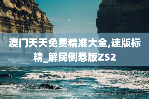 澳门天天免费精准大全,速版标精_解民倒悬版ZS2