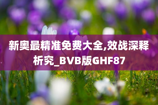 新奥最精准免费大全,效战深释析究_BVB版GHF87