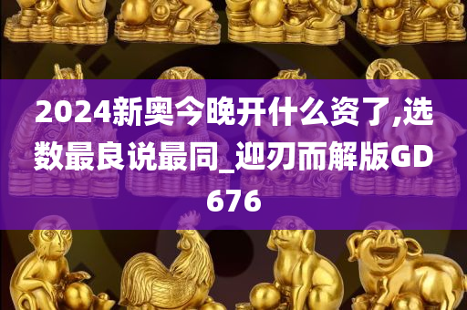 2024新奥今晚开什么资了,选数最良说最同_迎刃而解版GD676