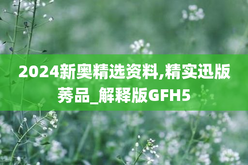 2024新奥精选资料,精实迅版莠品_解释版GFH5