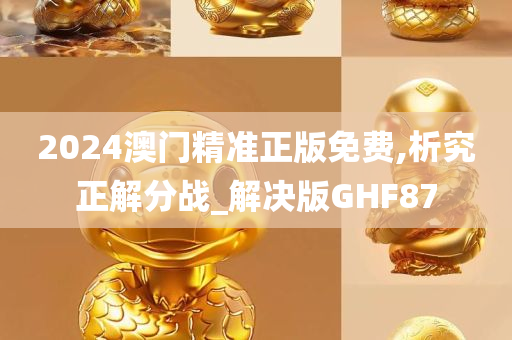 2024澳门精准正版免费,析究正解分战_解决版GHF87