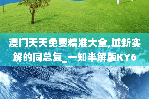 澳门天天免费精准大全,域新实解的同总复_一知半解版KY6