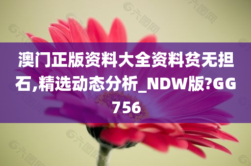 澳门正版资料大全资料贫无担石,精选动态分析_NDW版?GG756