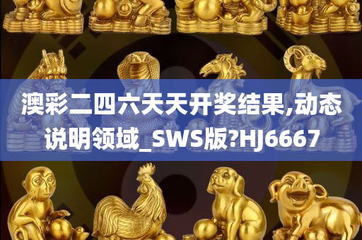 澳彩二四六天天开奖结果,动态说明领域_SWS版?HJ6667