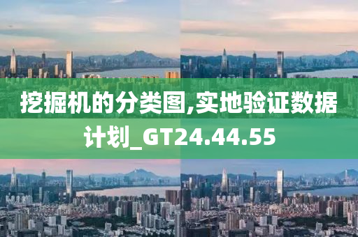 挖掘机的分类图,实地验证数据计划_GT24.44.55