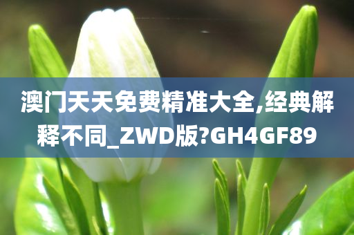 澳门天天免费精准大全,经典解释不同_ZWD版?GH4GF89