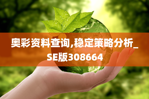 奥彩资料查询,稳定策略分析_SE版308664