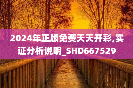 2024年正版免费天天开彩,实证分析说明_SHD667529