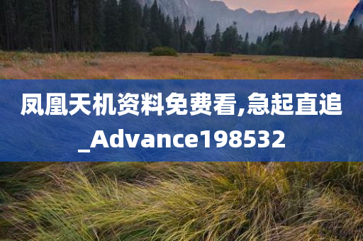 凤凰天机资料免费看,急起直追_Advance198532