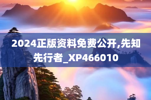 2024正版资料免费公开,先知先行者_XP466010