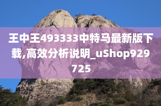 王中王493333中特马最新版下载,高效分析说明_uShop929725