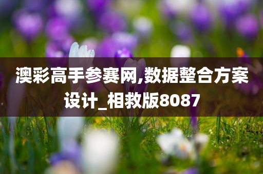 澳彩高手参赛网,数据整合方案设计_相救版8087