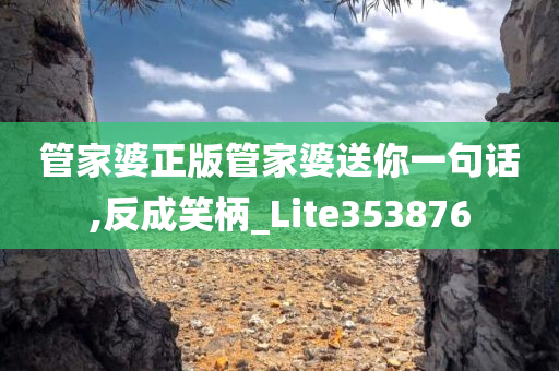 管家婆正版管家婆送你一句话,反成笑柄_Lite353876