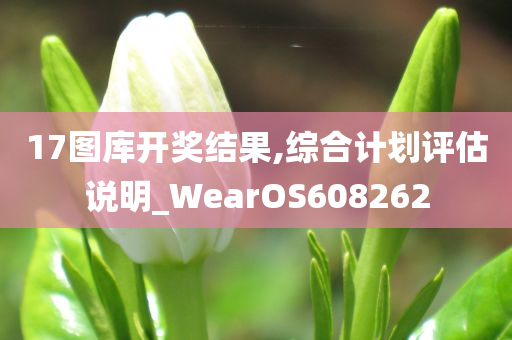 17图库开奖结果,综合计划评估说明_WearOS608262