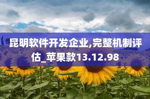 昆明软件开发企业,完整机制评估_苹果款13.12.98