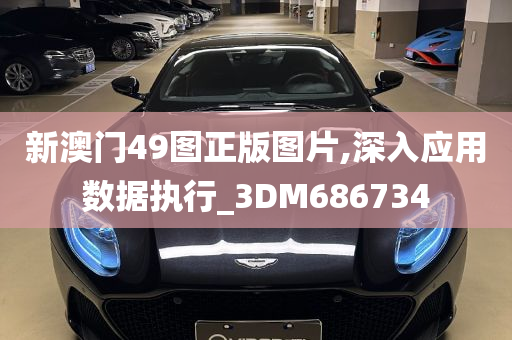 新澳门49图正版图片,深入应用数据执行_3DM686734